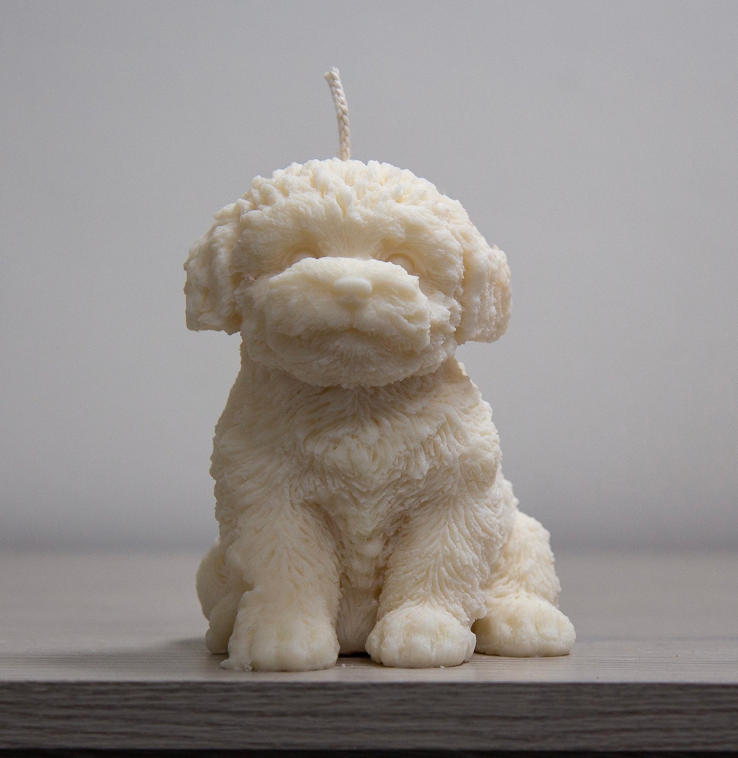 Hondje
