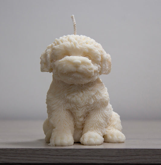 Hondje
